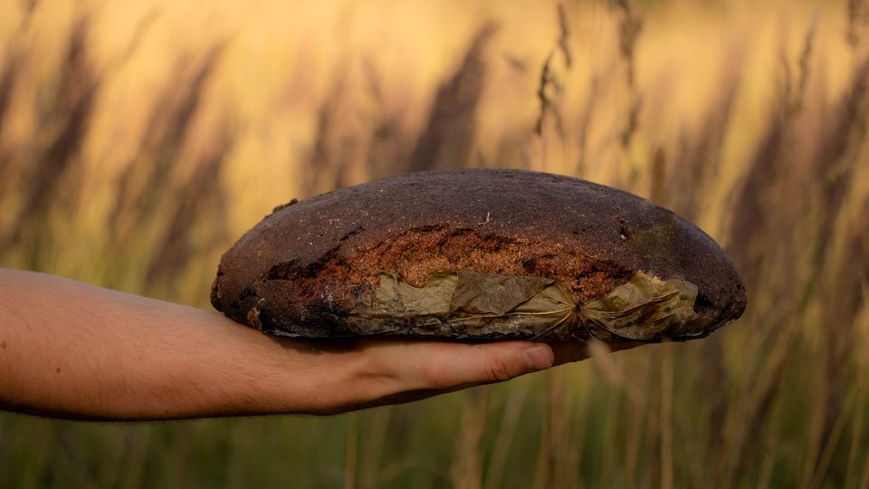 Rupjmaize